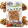 ProBugs Eco-Fresh Mealworm 20g - świeże larwy mącznika
